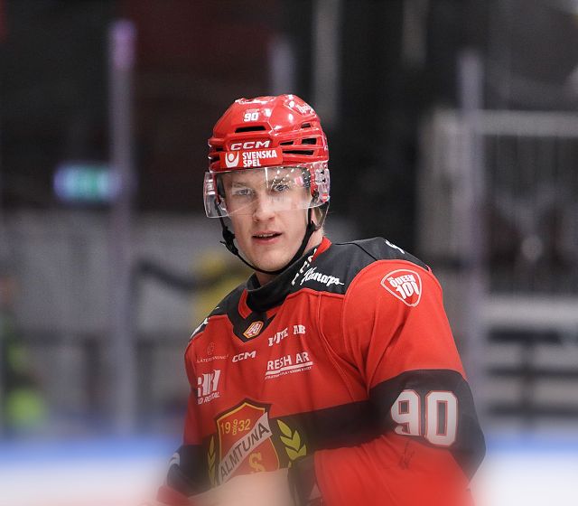 Adler komplettieren Kader mit schwedischem Center