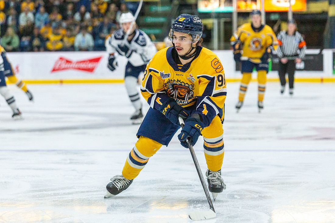 (C) Cataractes des Shawinigan