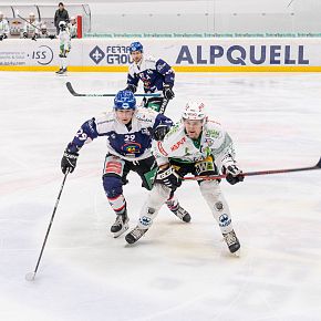 20220219_adler_bwald_web_©alpinguin_001