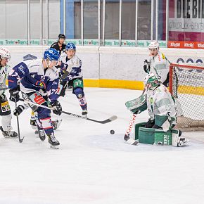 20220219_adler_bwald_web_©alpinguin_002